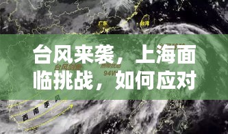 臺風(fēng)來襲，上海面臨挑戰(zhàn)，如何應(yīng)對風(fēng)暴影響？