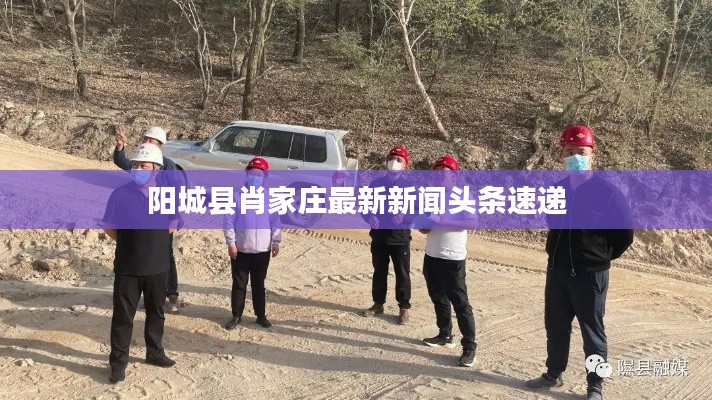 陽城縣肖家莊最新新聞頭條速遞