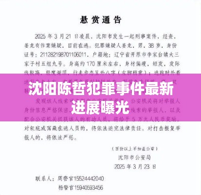 沈陽(yáng)陳哲犯罪事件最新進(jìn)展曝光