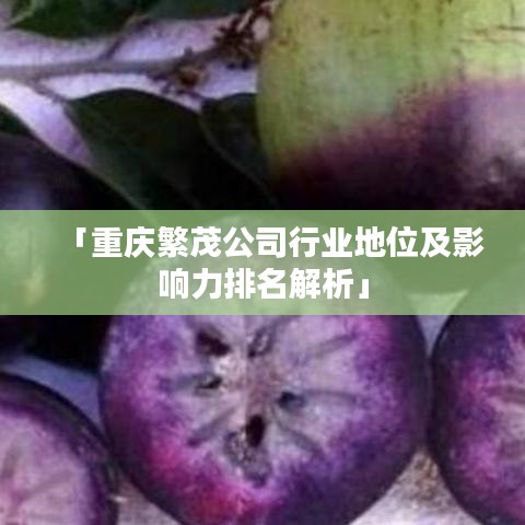 「重慶繁茂公司行業(yè)地位及影響力排名解析」