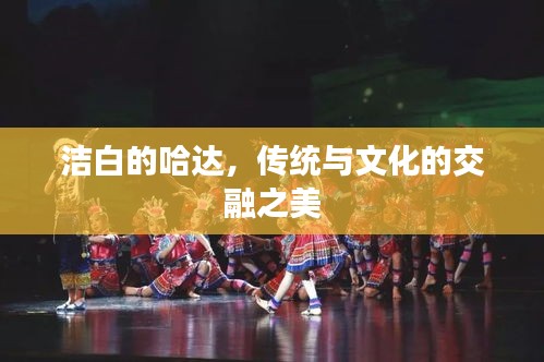潔白的哈達(dá)，傳統(tǒng)與文化的交融之美