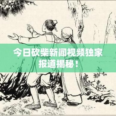 今日砍柴新聞視頻獨(dú)家報(bào)道揭秘！