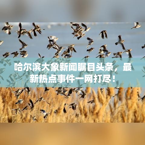 一席之地 第2頁