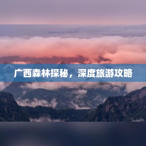廣西森林探秘，深度旅游攻略