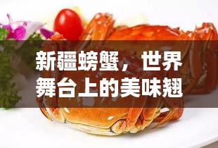 新疆螃蟹，世界舞臺上的美味翹楚，排名令人矚目！