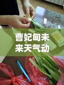 曹妃甸未來天氣動(dòng)態(tài)解析——百度天氣預(yù)報(bào)