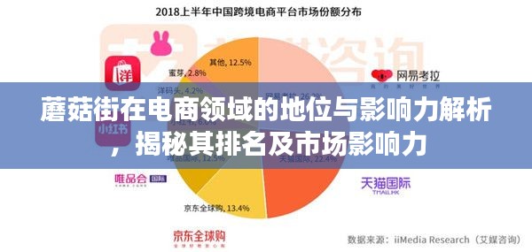 蘑菇街在電商領(lǐng)域的地位與影響力解析，揭秘其排名及市場(chǎng)影響力