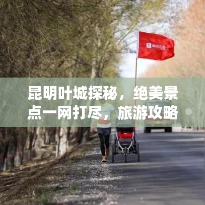 昆明葉城探秘，絕美景點(diǎn)一網(wǎng)打盡，旅游攻略大揭秘！