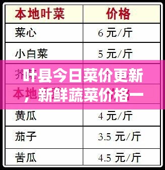 葉縣今日菜價更新，新鮮蔬菜價格一網(wǎng)打盡！