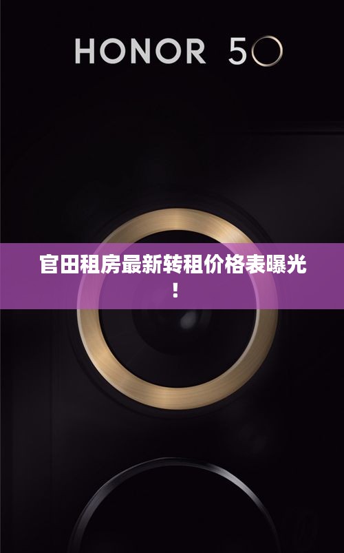 官田租房最新轉(zhuǎn)租價(jià)格表曝光！