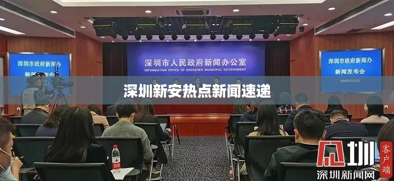 深圳新安熱點新聞速遞
