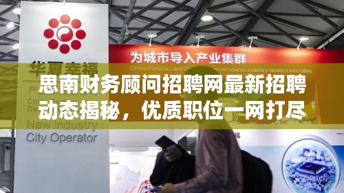 思南財(cái)務(wù)顧問招聘網(wǎng)最新招聘動(dòng)態(tài)揭秘，優(yōu)質(zhì)職位一網(wǎng)打盡！