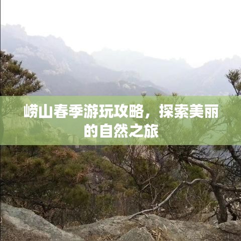 嶗山春季游玩攻略，探索美麗的自然之旅
