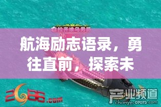 航海勵志語錄，勇往直前，探索未知的海域挑戰(zhàn)自我極限