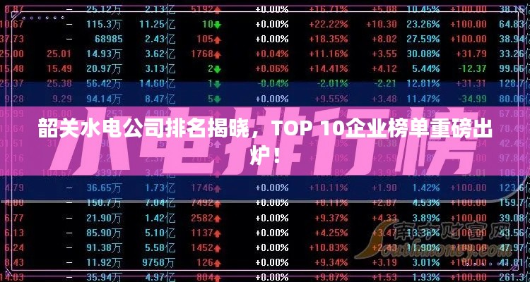 韶關(guān)水電公司排名揭曉，TOP 10企業(yè)榜單重磅出爐！