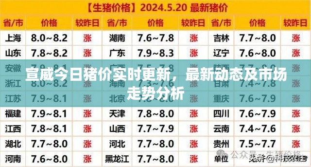 宣威今日豬價實時更新，最新動態(tài)及市場走勢分析