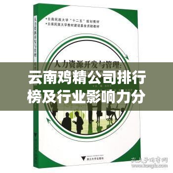 云南雞精公司排行榜及行業(yè)影響力分析