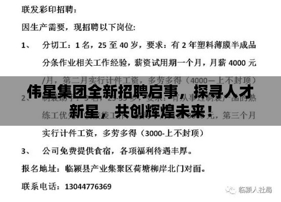 偉星集團全新招聘啟事，探尋人才新星，共創(chuàng)輝煌未來！