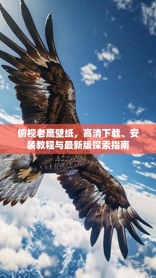 俯視老鷹壁紙，高清下載、安裝教程與最新版探索指南