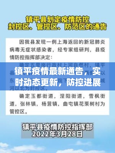 鎮(zhèn)平疫情最新通告，實(shí)時(shí)動態(tài)更新，防控進(jìn)展一覽