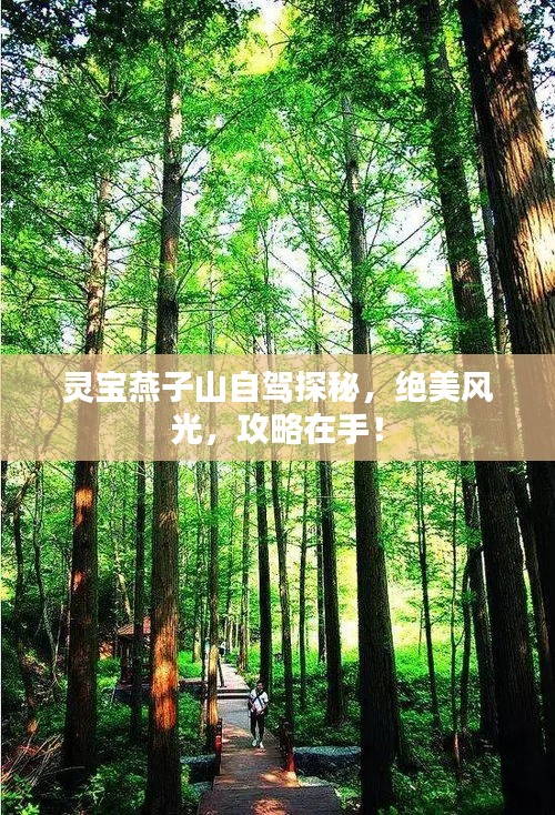 靈寶燕子山自駕探秘，絕美風(fēng)光，攻略在手！