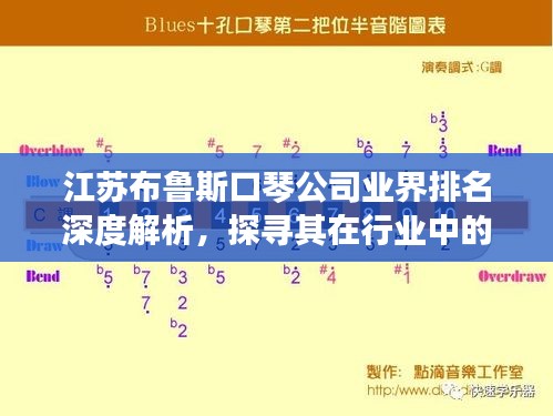 江蘇布魯斯口琴公司業(yè)界排名深度解析，探尋其在行業(yè)中的地位與影響力