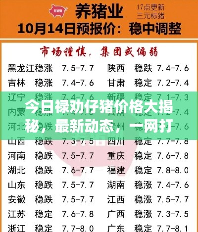 今日祿勸仔豬價格大揭秘，最新動態(tài)，一網打盡！