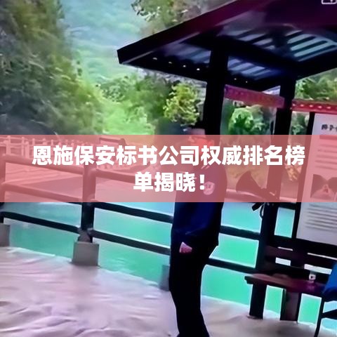 恩施保安標(biāo)書公司權(quán)威排名榜單揭曉！
