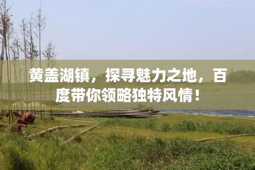 黃蓋湖鎮(zhèn)，探尋魅力之地，百度帶你領(lǐng)略獨特風(fēng)情！