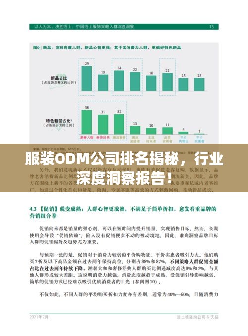 服裝ODM公司排名揭秘，行業(yè)深度洞察報告！
