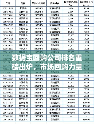 數(shù)據(jù)寶回購(gòu)公司排名重磅出爐，市場(chǎng)回購(gòu)力量大揭秘！