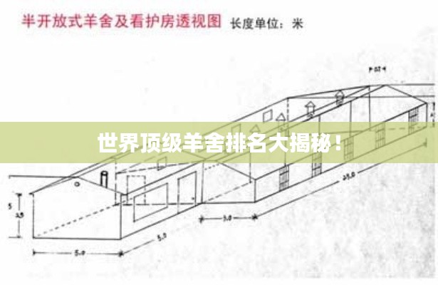 世界頂級(jí)羊舍排名大揭秘！