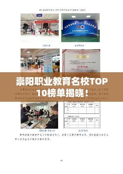 崇陽(yáng)職業(yè)教育名校TOP10榜單揭曉！