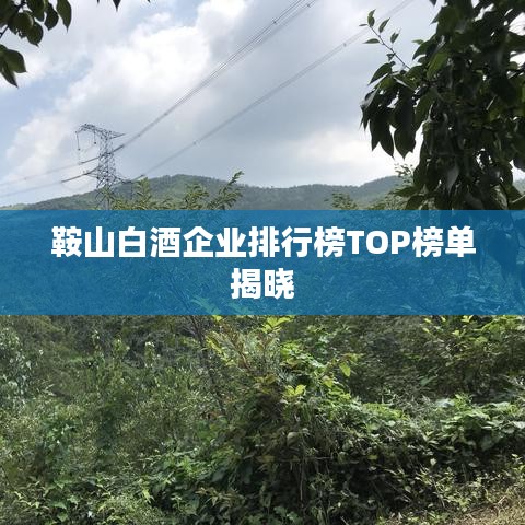 鞍山白酒企業(yè)排行榜TOP榜單揭曉