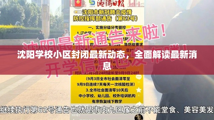 沈陽學(xué)校小區(qū)封閉最新動態(tài)，全面解讀最新消息