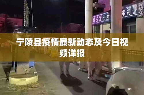 寧陵縣疫情最新動態(tài)及今日視頻詳報
