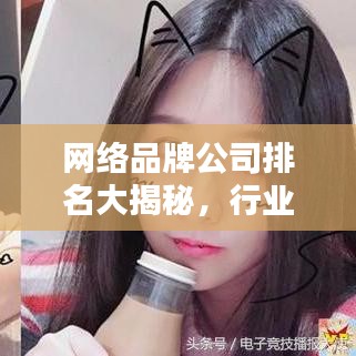 網(wǎng)絡(luò)品牌公司排名大揭秘，行業(yè)領(lǐng)軍者榜單