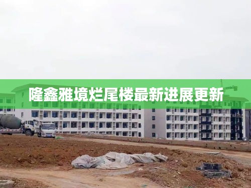 隆鑫雅境爛尾樓最新進(jìn)展更新