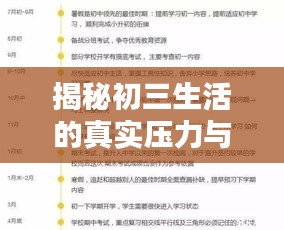 揭秘初三生活的真實(shí)壓力與挑戰(zhàn)，深度解析與探討