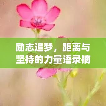 勵(lì)志追夢(mèng)，距離與堅(jiān)持的力量語(yǔ)錄摘抄