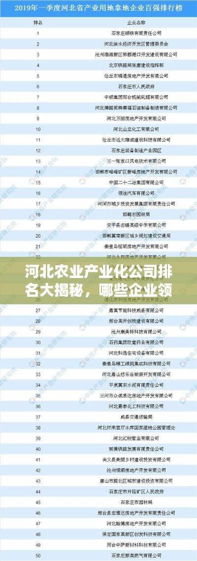 河北農(nóng)業(yè)產(chǎn)業(yè)化公司排名大揭秘，哪些企業(yè)領(lǐng)跑行業(yè)？