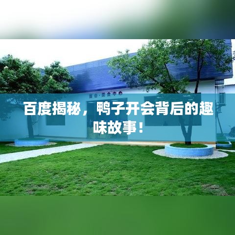 百度揭秘，鴨子開會背后的趣味故事！