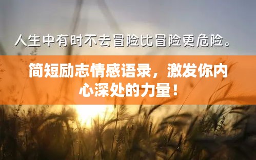 簡(jiǎn)短勵(lì)志情感語(yǔ)錄，激發(fā)你內(nèi)心深處的力量！