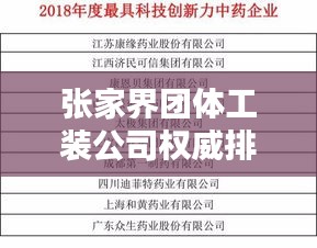 張家界團(tuán)體工裝公司權(quán)威排名榜單揭曉！