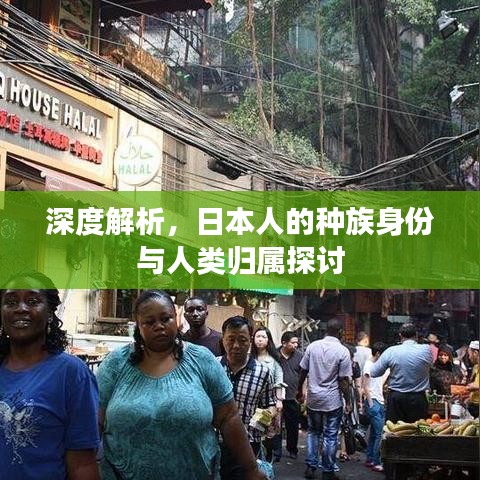 深度解析，日本人的種族身份與人類歸屬探討