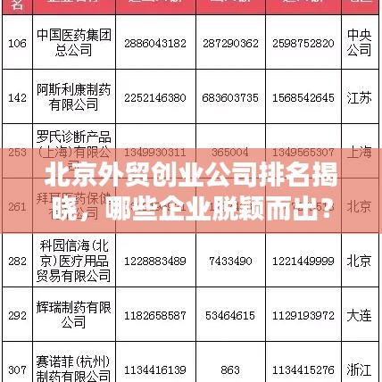 北京外貿(mào)創(chuàng)業(yè)公司排名揭曉，哪些企業(yè)脫穎而出？
