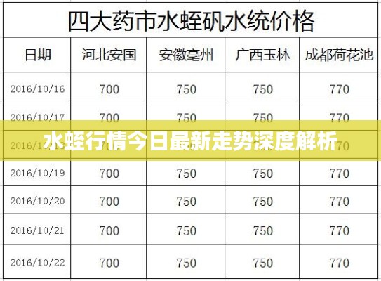 水蛭行情今日最新走勢深度解析