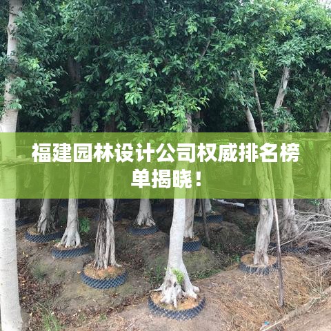 福建園林設計公司權(quán)威排名榜單揭曉！