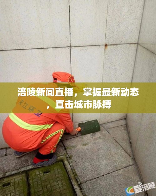 涪陵新聞直播，掌握最新動態(tài)，直擊城市脈搏