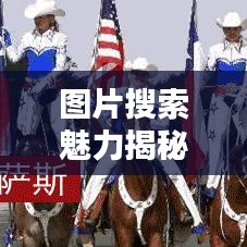 圖片搜索魅力揭秘，百度圖片庫一網(wǎng)打盡